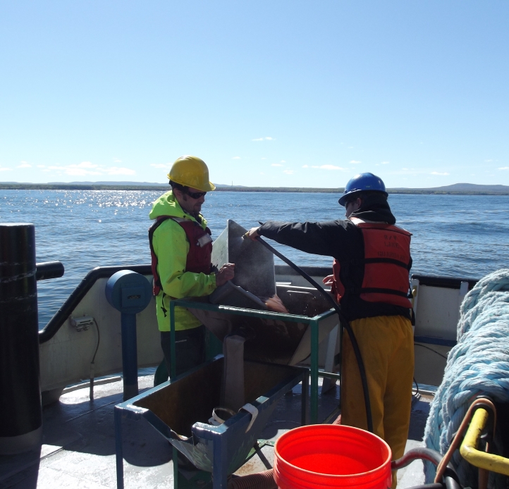 Three people working on a large boat. One is tipping a tub of mud into an elevated basin while a second person sprays it with a hose.