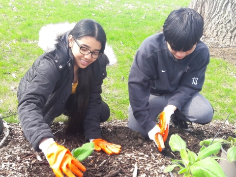 Two young people planting flowers in a flower bed.