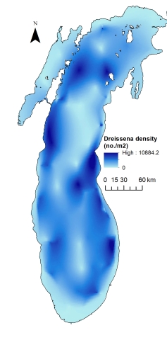 A map of a lake showing dreissena mussel density from 0 to 10884.2 per square meter. The high concentrations are mostly nearer to shore.