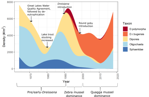 stacked area plot showing density of benthic organisms over several decades with notes about major events
