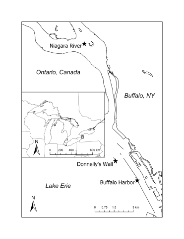 A map of the Niagara River with stars depicting sample sites on islands in the Niagara River, on Donnelly's Wall, and in Buffalo Harbor. There is an inset showing the Niagara River's location within the Laurentian Great Lakes, between New York (US) and Ontario (Canada).