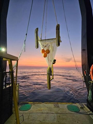 A net on a sled with three skids is suspended over the water by a large A-frame winch on the deck of a boat at sunset