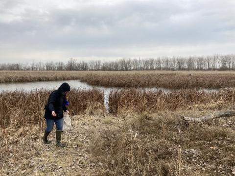 A person bundled up in a jacket spreads seed on the ground near a wetland during winter