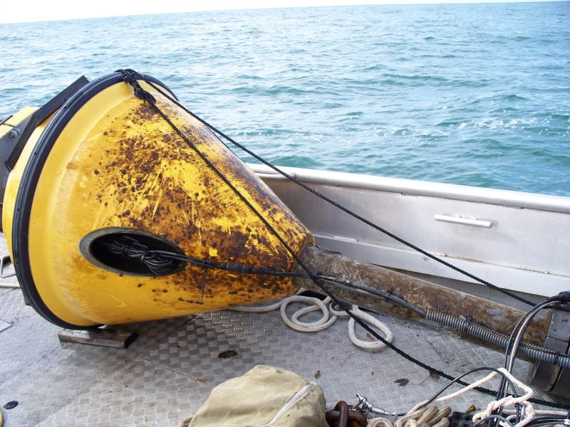 A buoy with biofouling with brown algae lies on the deck of a boat.