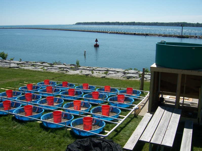 kiddie pools with gravel and buckets in them, connected by pipes to a structure with a tank on top of it. There is a body of water behind them.