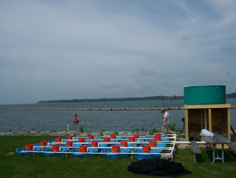 A person stands among kiddie pools with gravel and buckets in them, which are connected by pipes to a structure with a tank on top of it. There is a body of water behind them.