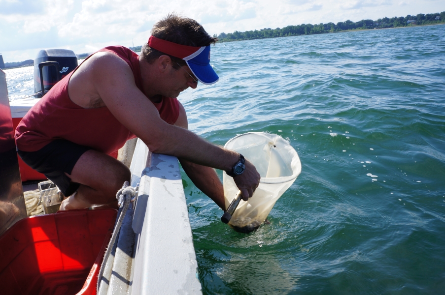 A person in a boat leans over the side to hold a hand net slightly above the surface of the water.