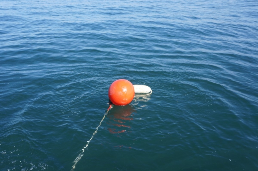 An orange float and a white float attached to a rope descending into the water