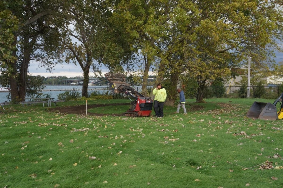 A person pushes a tilling machine around a tree by the waterfront, leaving a dirt path.