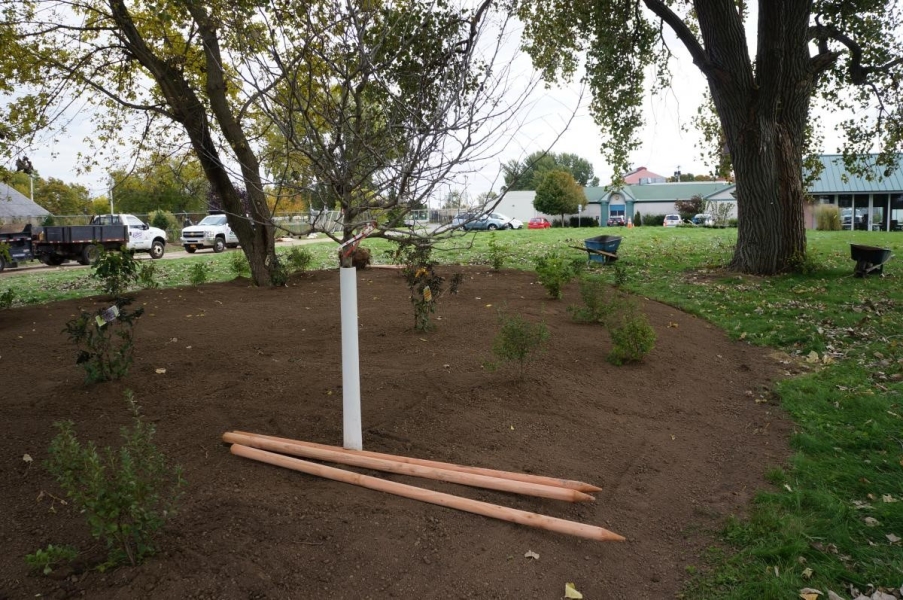 A newly planted tree and some unused stakes along with other small plants and shrubs in a fresh plant bed under some trees.