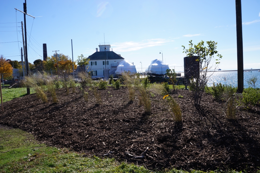 A plant bed with mulch near the waterfront.