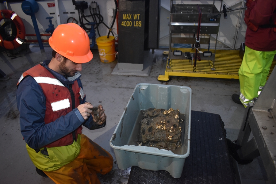 A person in a life jacket and a hardhat kneels on the deck of a boat next to a tub of mud and dreissenid mussels to put a sample in the jar in their hands.