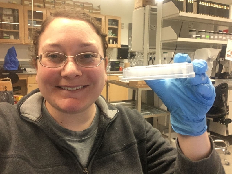 A person in a lab holds up a plate full of tiny vials in her gloved hand.