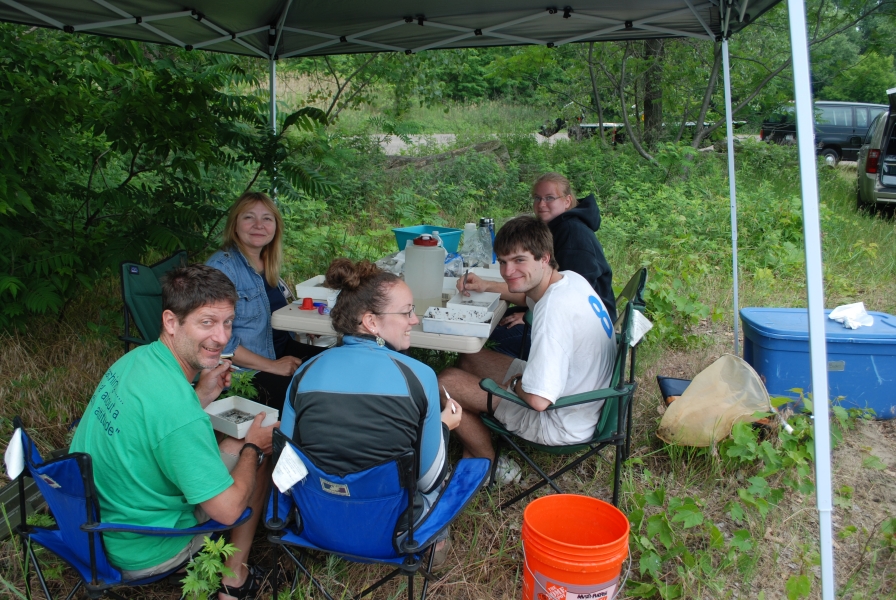 Five people work on samples in small plastic trays at a portable table and pop-up tent.